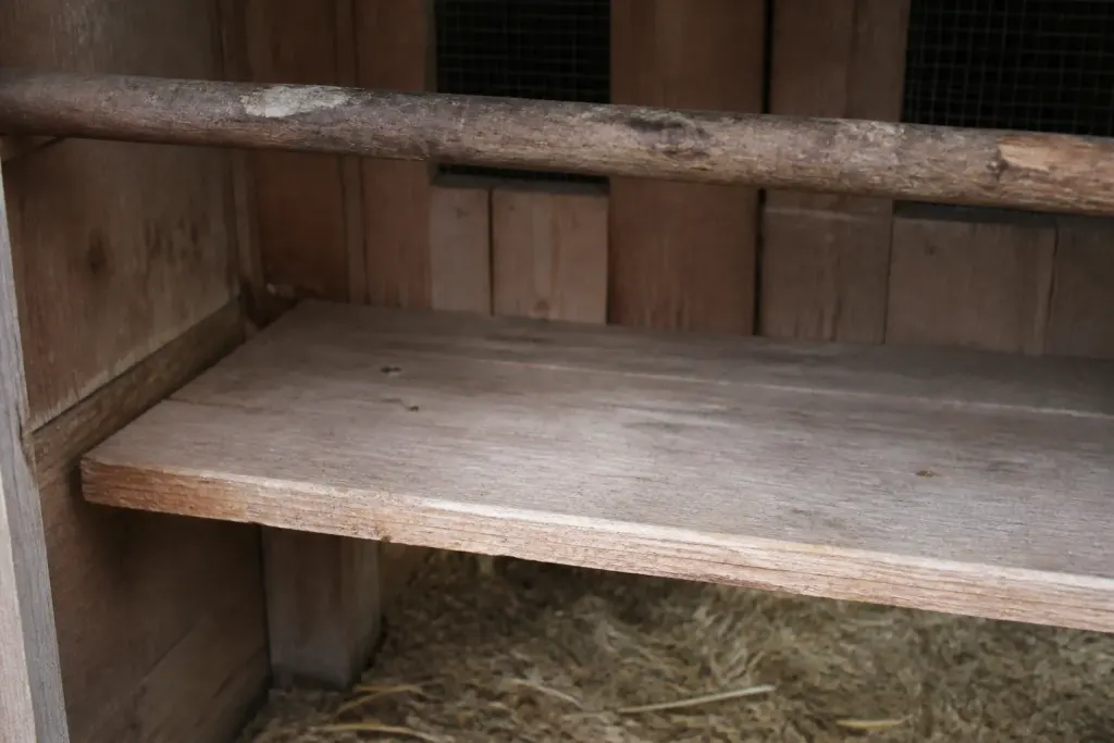 Planche de bois propre sous un perchoir de poulailler