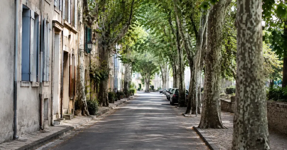 Rue calme bordee de platanes et de maisons anciennes